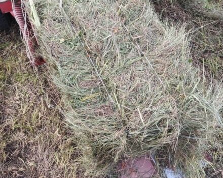 Другая Другая, объемом двигателя 0 л и пробегом 0 тыс. км за 1913 $, фото 3 на Automoto.ua