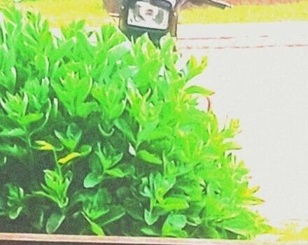 Другая Другая, объемом двигателя 0 л и пробегом 0 тыс. км за 286 $, фото 4 на Automoto.ua