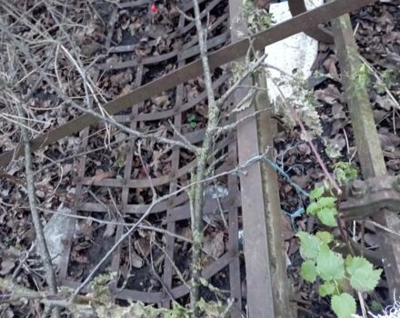 Другая Другая, объемом двигателя 0 л и пробегом 0 тыс. км за 190 $, фото 4 на Automoto.ua