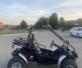 Інша Інша, об'ємом двигуна 0.25 л та пробігом 0 тис. км за 2906 $, фото 16 на Automoto.ua