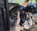 Інша Інша, об'ємом двигуна 0.15 л та пробігом 0 тис. км за 969 $, фото 4 на Automoto.ua