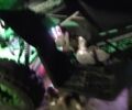 Другая Другая, объемом двигателя 0.13 л и пробегом 0 тыс. км за 881 $, фото 4 на Automoto.ua