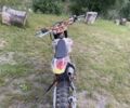 Другая Другая, объемом двигателя 0.25 л и пробегом 0 тыс. км за 1114 $, фото 1 на Automoto.ua