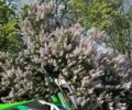 Другая Другая, объемом двигателя 0.13 л и пробегом 0 тыс. км за 703 $, фото 1 на Automoto.ua