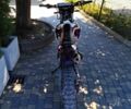 Інша Інша, об'ємом двигуна 0.3 л та пробігом 0 тис. км за 2150 $, фото 3 на Automoto.ua