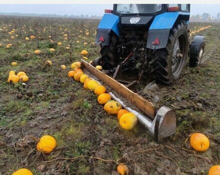 Другая Другая, объемом двигателя 0 л и пробегом 0 тыс. км за 714 $, фото 2 на Automoto.ua