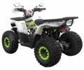 Інша Інша, об'ємом двигуна 0.13 л та пробігом 0 тис. км за 1150 $, фото 4 на Automoto.ua