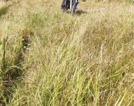 Другая Другая, объемом двигателя 0.3 л и пробегом 0 тыс. км за 3450 $, фото 3 на Automoto.ua