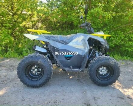 Другая Другая, объемом двигателя 0 л и пробегом 0 тыс. км за 1300 $, фото 8 на Automoto.ua