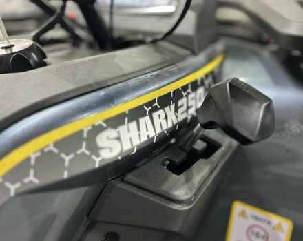 Другая Другая, объемом двигателя 0.25 л и пробегом 0 тыс. км за 2449 $, фото 13 на Automoto.ua