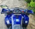 Другая Другая, объемом двигателя 0 л и пробегом 0 тыс. км за 1380 $, фото 1 на Automoto.ua