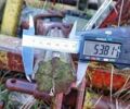 Другая Другая, объемом двигателя 0 л и пробегом 0 тыс. км за 89000 $, фото 20 на Automoto.ua