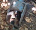 Другая Другая, объемом двигателя 0 л и пробегом 0 тыс. км за 290 $, фото 4 на Automoto.ua