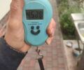 Другая Другая, объемом двигателя 0 л и пробегом 0 тыс. км за 13 $, фото 7 на Automoto.ua