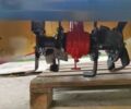 Другая Другая, объемом двигателя 0 л и пробегом 0 тыс. км за 4240 $, фото 4 на Automoto.ua