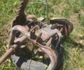 Другая Другая, объемом двигателя 0 л и пробегом 0 тыс. км за 193 $, фото 2 на Automoto.ua