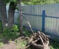 Другая Другая, объемом двигателя 0 л и пробегом 0 тыс. км за 193 $, фото 1 на Automoto.ua