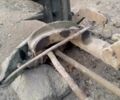 Другая Другая, объемом двигателя 0 л и пробегом 0 тыс. км за 5000 $, фото 2 на Automoto.ua
