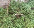 Другая Другая, объемом двигателя 0 л и пробегом 0 тыс. км за 15000 $, фото 3 на Automoto.ua