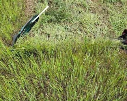 Другая Другая, объемом двигателя 0 л и пробегом 0 тыс. км за 412 $, фото 4 на Automoto.ua