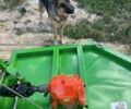 Другая Другая, объемом двигателя 0 л и пробегом 0 тыс. км за 22500 $, фото 6 на Automoto.ua