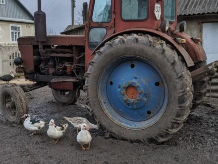 Інша Інша, об'ємом двигуна 0 л та пробігом 0 тис. км за 2000 $, фото 1 на Automoto.ua
