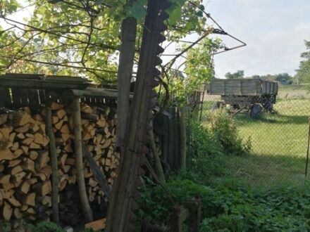 Другая Інша, об'ємом двигуна 0 л та пробігом 0 тис. км за 95 $, фото 1 на Automoto.ua