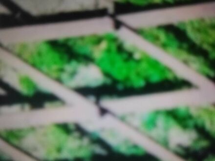 Другая Другая, объемом двигателя 0 л и пробегом 0 тыс. км за 48 $, фото 1 на Automoto.ua