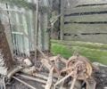 Другая Другая, объемом двигателя 0 л и пробегом 0 тыс. км за 5000 $, фото 2 на Automoto.ua