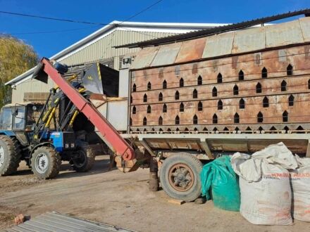 Інша Інша, об'ємом двигуна 0 л та пробігом 0 тис. км за 11000 $, фото 1 на Automoto.ua