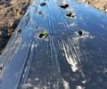 Другая Інша, об'ємом двигуна 0 л та пробігом 0 тис. км за 70000 $, фото 16 на Automoto.ua