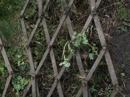 Інша Інша, об'ємом двигуна 0 л та пробігом 0 тис. км за 72 $, фото 1 на Automoto.ua