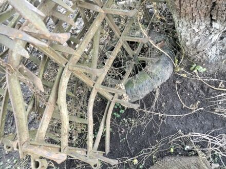 Другая Другая, объемом двигателя 0 л и пробегом 0 тыс. км за 48 $, фото 1 на Automoto.ua