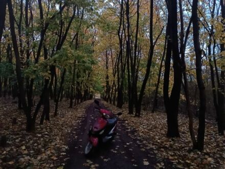 Другая Другая, объемом двигателя 49 л и пробегом 0 тыс. км за 288 $, фото 1 на Automoto.ua