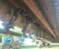 Другая Інша, об'ємом двигуна 0 л та пробігом 0 тис. км за 2700 $, фото 3 на Automoto.ua