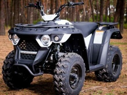 Другая Другая, объемом двигателя 0 л и пробегом 0 тыс. км за 2399 $, фото 1 на Automoto.ua