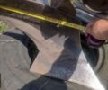 Другая Другая, объемом двигателя 0 л и пробегом 0 тыс. км за 242 $, фото 2 на Automoto.ua