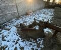 Другая Другая, объемом двигателя 0 л и пробегом 0 тыс. км за 25000 $, фото 2 на Automoto.ua