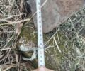 Другая Другая, объемом двигателя 0 л и пробегом 0 тыс. км за 17000 $, фото 1 на Automoto.ua