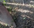 Другая Другая, объемом двигателя 0 л и пробегом 0 тыс. км за 97 $, фото 4 на Automoto.ua
