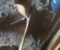 Другая Другая, объемом двигателя 0 л и пробегом 0 тыс. км за 721 $, фото 7 на Automoto.ua