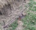 Другая Другая, объемом двигателя 0 л и пробегом 0 тыс. км за 4350 $, фото 1 на Automoto.ua
