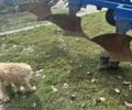 Другая Другая, объемом двигателя 0 л и пробегом 0 тыс. км за 450 $, фото 3 на Automoto.ua