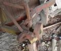 Другая Другая, объемом двигателя 0 л и пробегом 0 тыс. км за 11000 $, фото 2 на Automoto.ua
