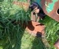 Другая Другая, объемом двигателя 0 л и пробегом 0 тыс. км за 364 $, фото 1 на Automoto.ua