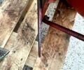 Другая Другая, объемом двигателя 0 л и пробегом 0 тыс. км за 1500 $, фото 11 на Automoto.ua