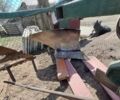 Другая Другая, объемом двигателя 0 л и пробегом 0 тыс. км за 9000 $, фото 2 на Automoto.ua