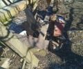 Другая Другая, объемом двигателя 0 л и пробегом 0 тыс. км за 425 $, фото 3 на Automoto.ua