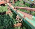 Другая Другая, объемом двигателя 0 л и пробегом 0 тыс. км за 364 $, фото 3 на Automoto.ua