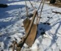 Другая Другая, объемом двигателя 0 л и пробегом 0 тыс. км за 1500 $, фото 1 на Automoto.ua